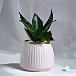 Leafy Luxuries - Image 3